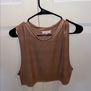 a'gaci Metallic Bronze Crop Top